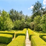 Picture No. 31